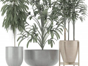 plants collection 11 3D Model