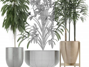 plants collection 11 3D Model