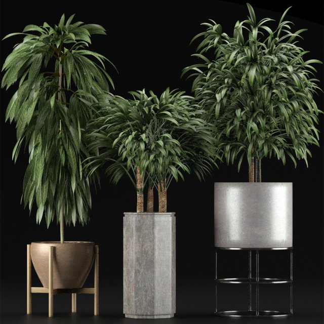 plants collection 12 Modelo 3D .c4d .max .obj .3ds .fbx .stl .blend 