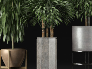 plants collection 12 Modelo 3D