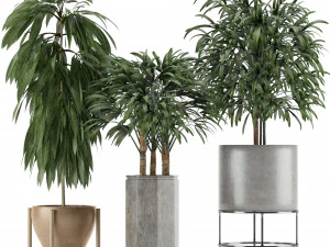 plants collection 12 3D Model