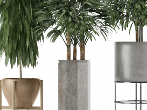 plants collection 12 Modelo 3D