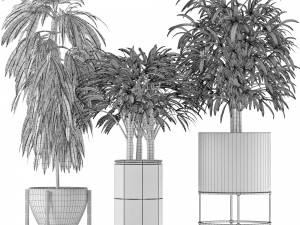 plants collection 12 Modelo 3D