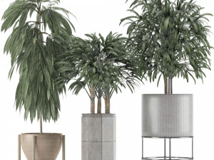 plants collection 12 Modelo 3D