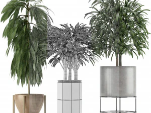 plants collection 12 3D Model