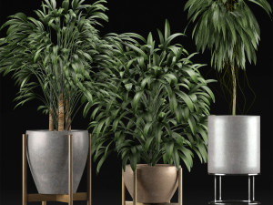 plants collection 13 3D मॉडल