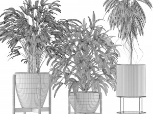 plants collection 13 3D Model