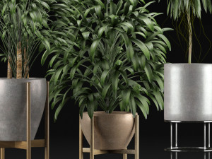 plants collection 13 3D Model