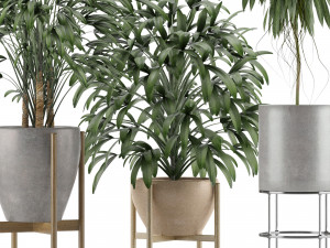 plants collection 13 3D Model