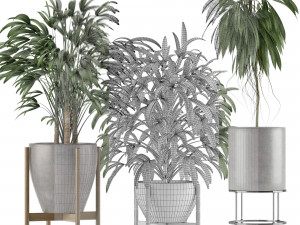plants collection 13 3D Model