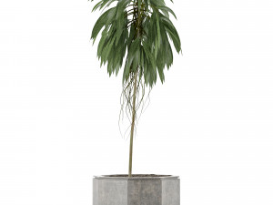 single plant 01 3D Модель