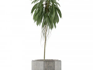 single plant 01 3D Model