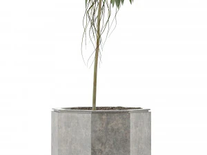 single plant 01 3D Model