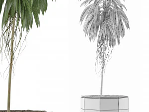 single plant 01 3D Model