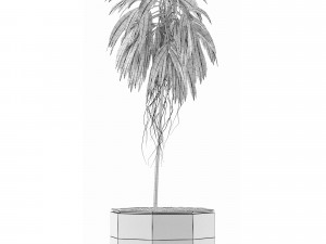 single plant 01 3D Модель