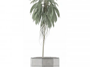 single plant 01 3D Model