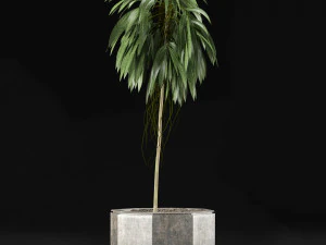 single plant 01 3D Model