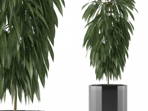 одно растение 02 3D Модель