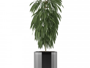 single plant 02 3D मॉडल