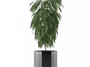single plant 02 3D Model