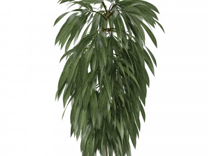 single plant 02 3D मॉडल