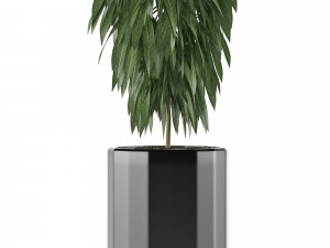 single plant 02 3D मॉडल