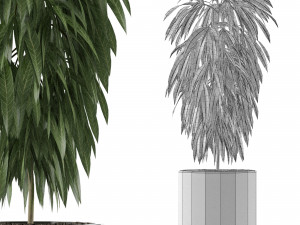 single plant 02 3D मॉडल