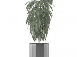 single plant 02 3D मॉडल