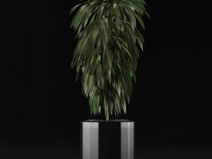 single plant 02 3D मॉडल