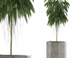 single plant 03 3D Model