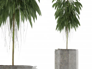 단일 식물 03 3D 모델