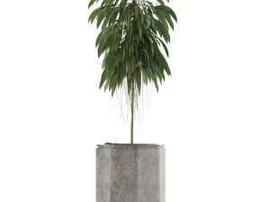 single plant 03 Modelo 3D