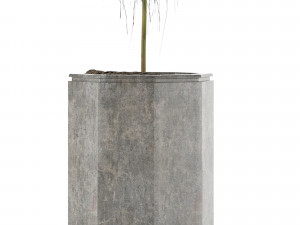 single plant 03 Modelo 3D