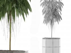 single plant 03 Modelo 3D