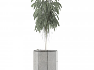 single plant 03 Modelo 3D