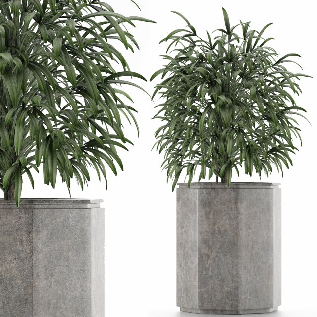 single plant 04 3D Model .c4d .max .obj .3ds .fbx .stl .blend
