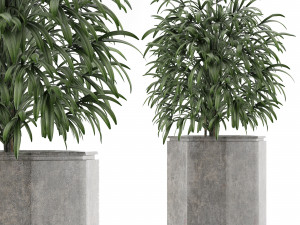 single plant 04 3D Model