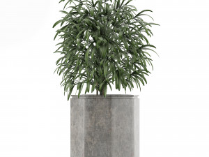 single plant 04 3D Model