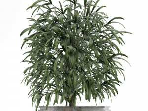 single plant 04 3D Model