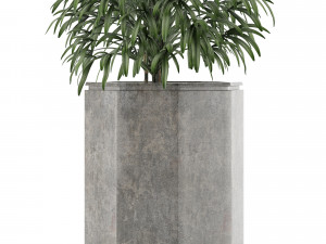 single plant 04 3D Model