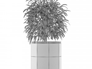 single plant 04 3D Model