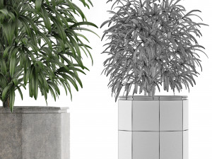 single plant 04 3D Model