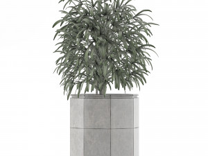 single plant 04 3D Model