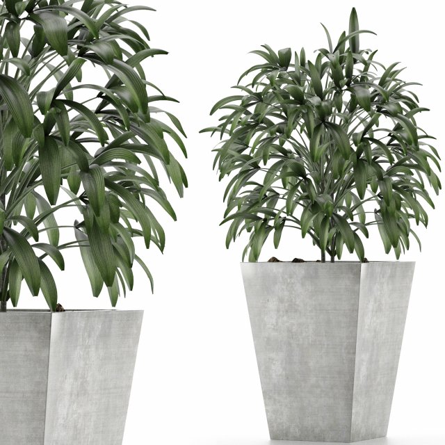 single plant 05 Modèle 3D .c4d .max .obj .3ds .fbx .stl .blend 