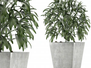 planta &uacute;nica 05 Modelo 3D