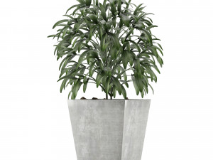 single plant 05 Modèle 3D