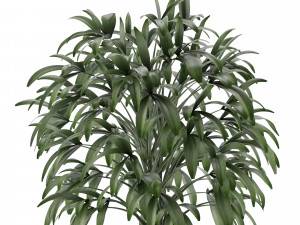 single plant 05 Modèle 3D