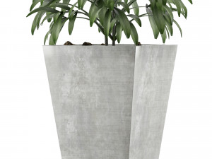 single plant 05 Modèle 3D