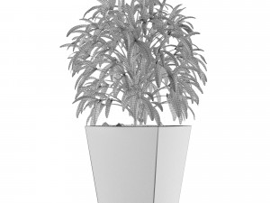 single plant 05 Modèle 3D