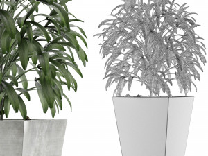 single plant 05 Modèle 3D
